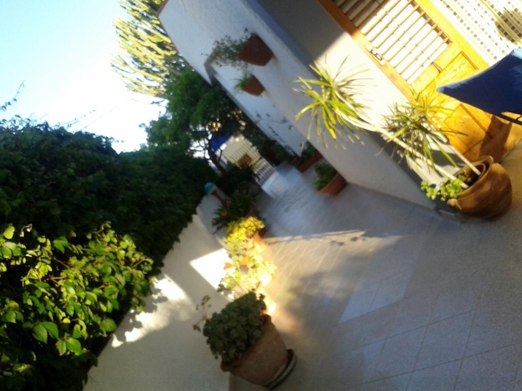 B&B Il Girasole Ното Екстер'єр фото