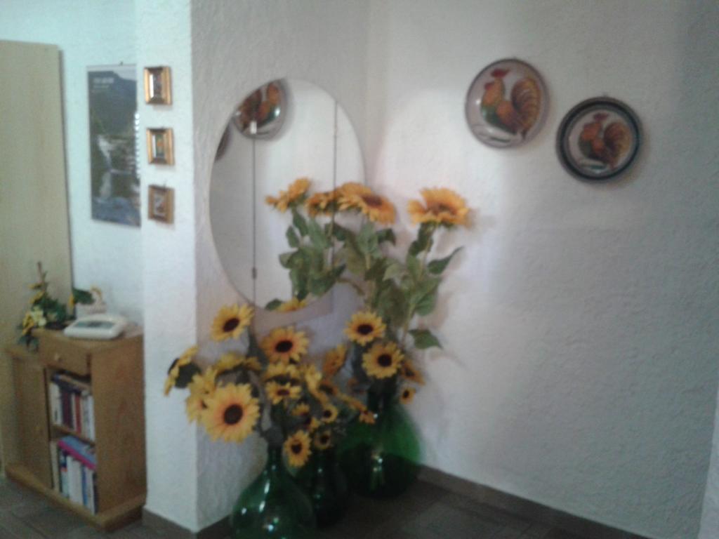 B&B Il Girasole Ното Екстер'єр фото