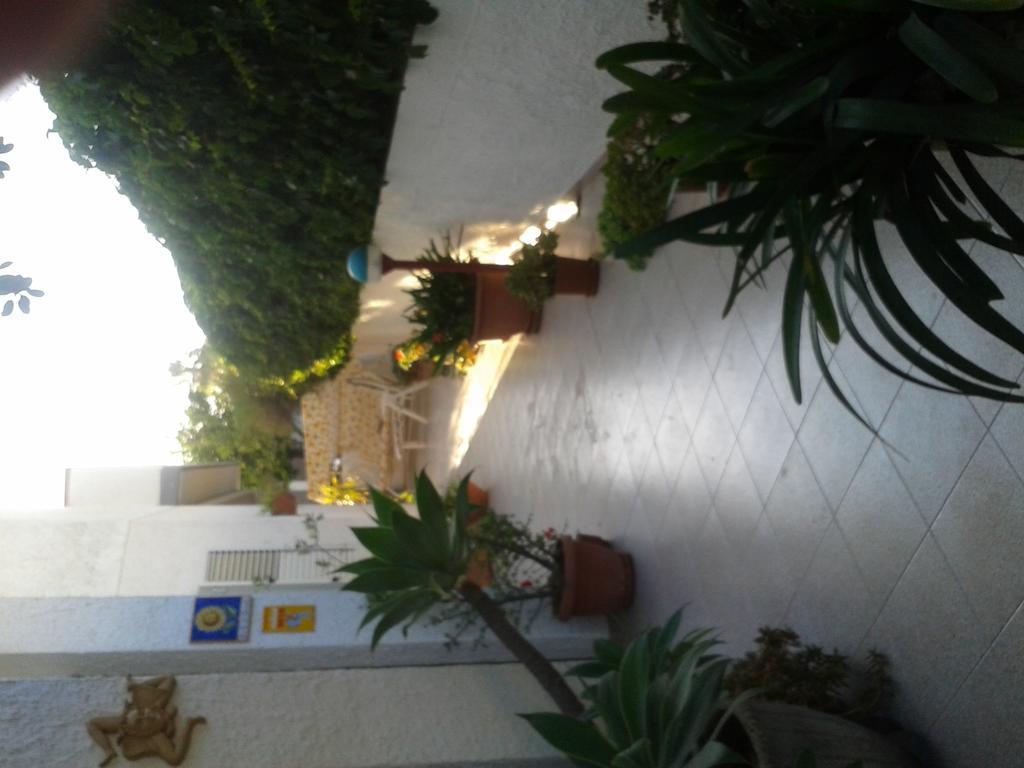 B&B Il Girasole Ното Екстер'єр фото