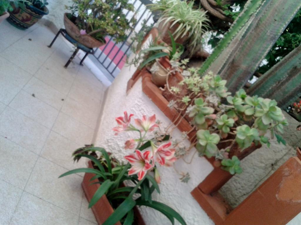 B&B Il Girasole Ното Екстер'єр фото